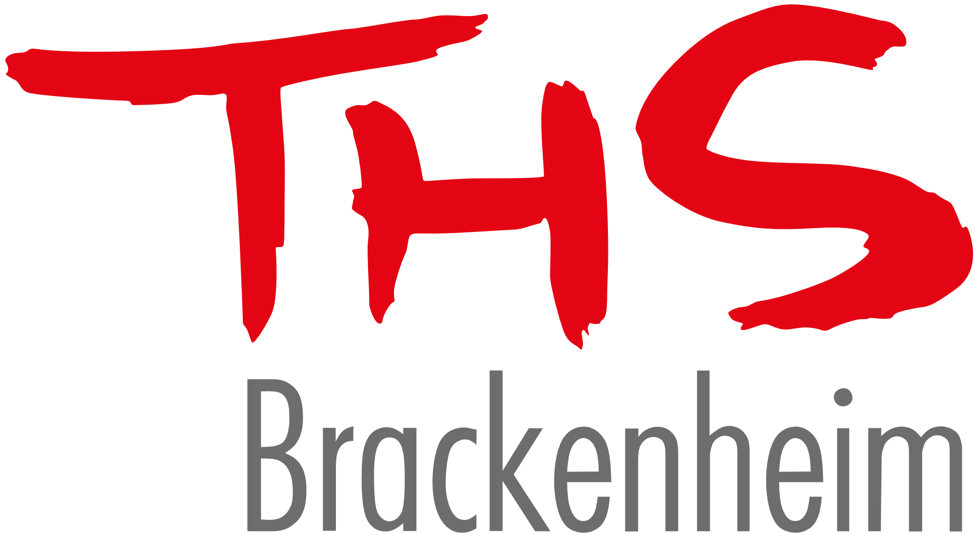 Logo der Theodor-Heuss-Schule Brackenheim